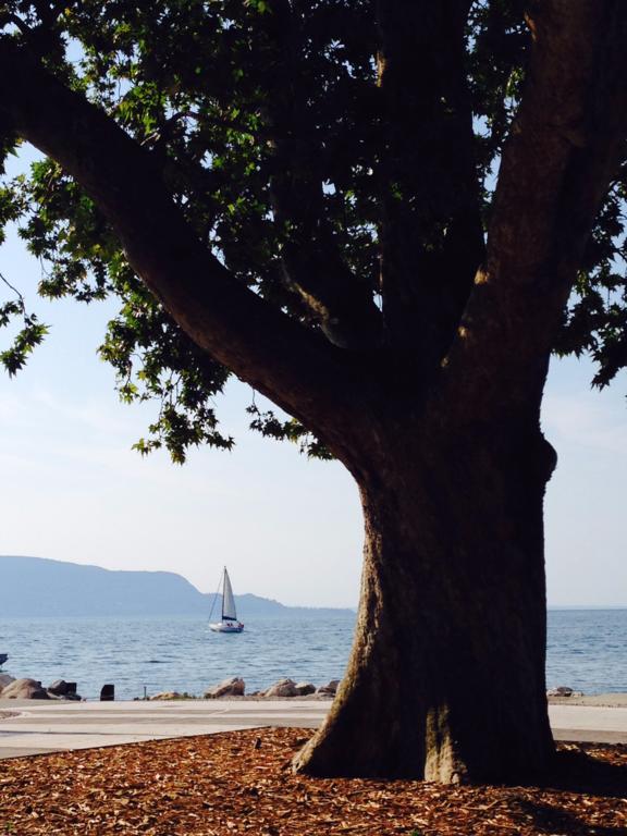 Vila Ca' Dei Gatti Toscolano Maderno Exteriér fotografie