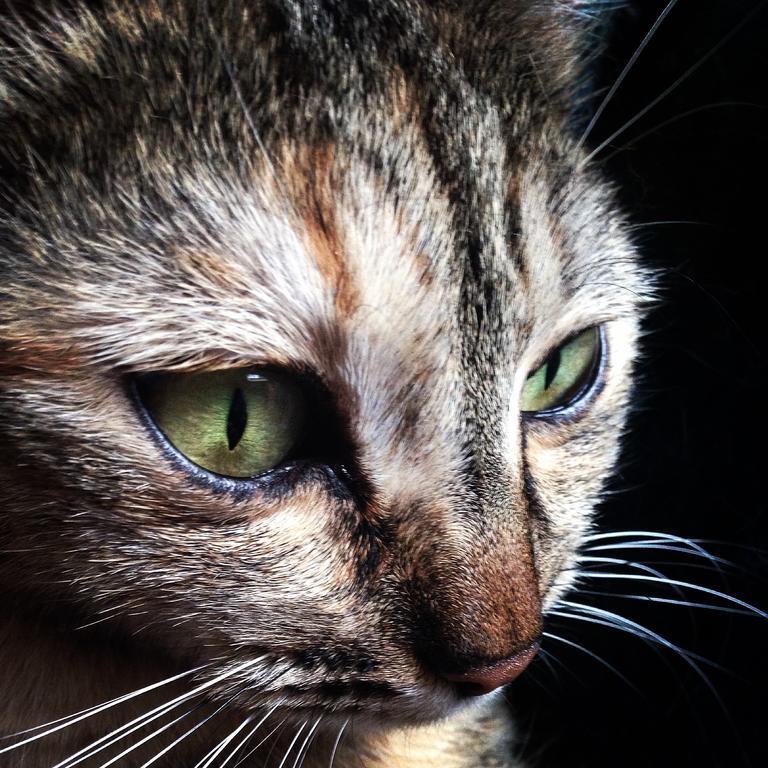 Vila Ca' Dei Gatti Toscolano Maderno Exteriér fotografie