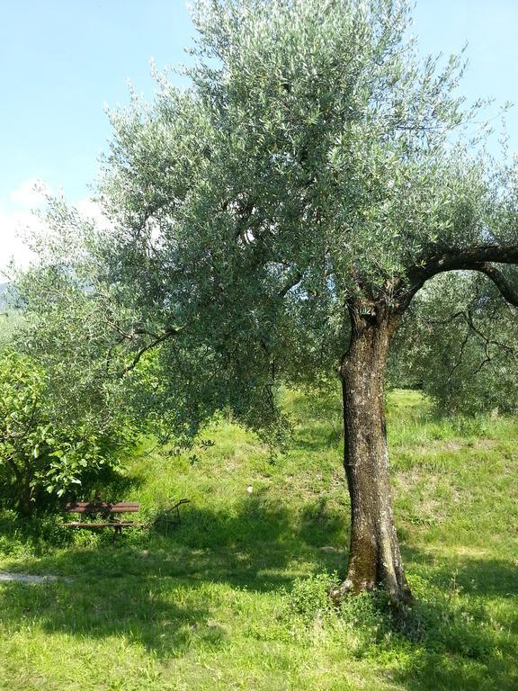 Vila Ca' Dei Gatti Toscolano Maderno Exteriér fotografie